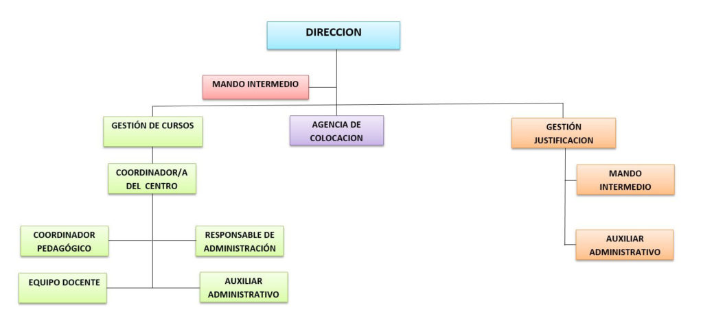 Academia Telde->Portal de Transparencia: Organigrama