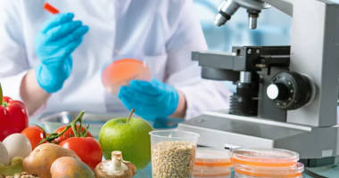 seguridad-alimentaria-inicio