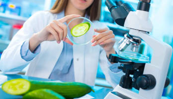 sistemas-de-calidad-en-industria-alimentaria-inicio